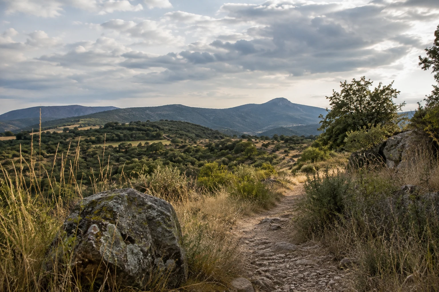 Paisaje de colinas con un camino y rocas en primer término