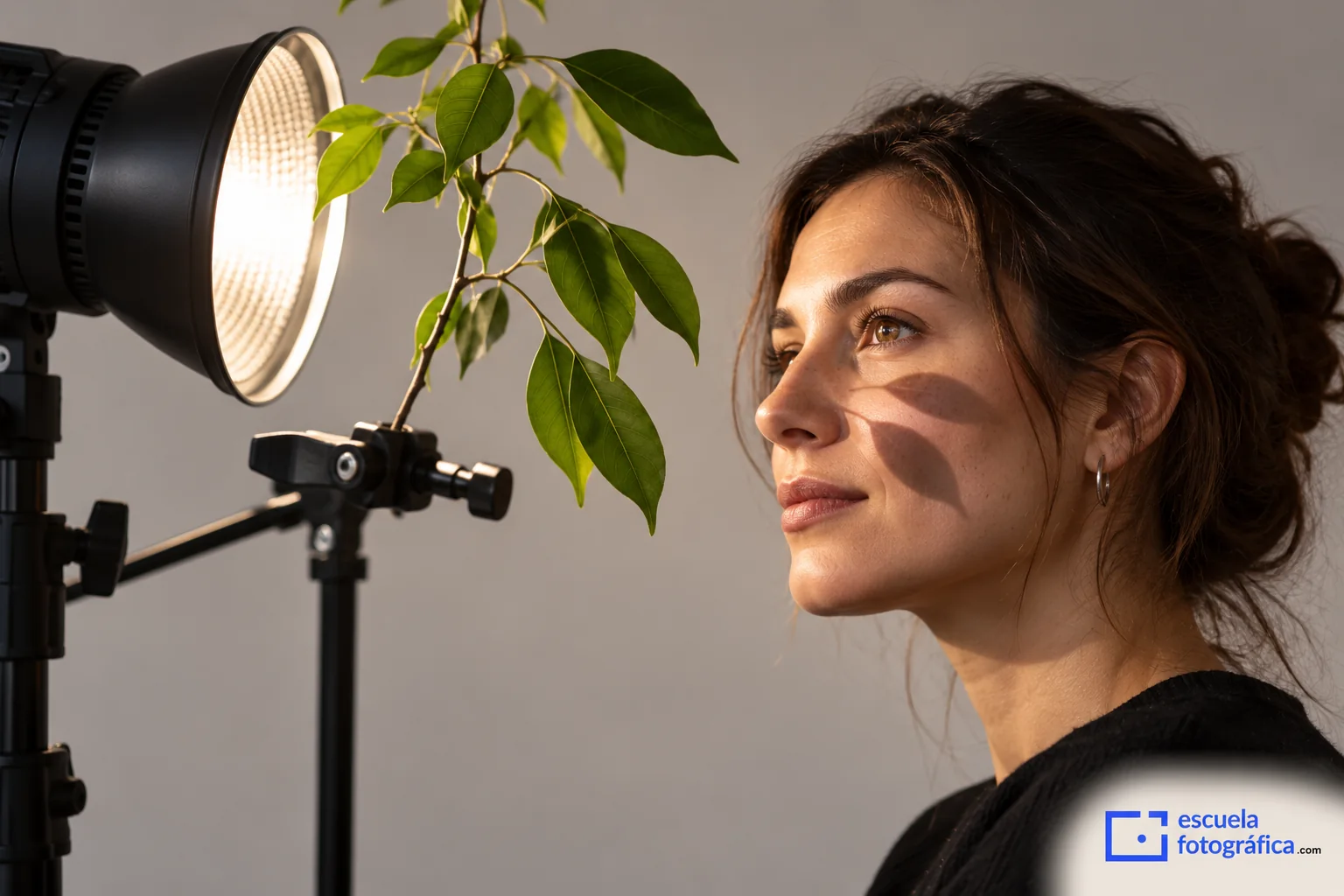 Rama colocada entre una luz y una persona para proyectar sombras